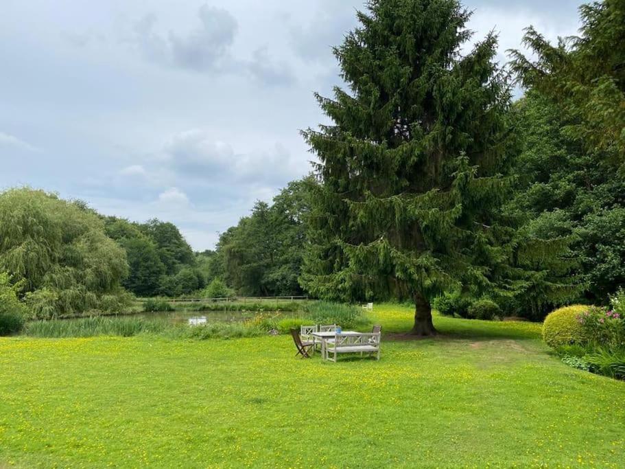 Halfmoon Lodge @ Knights Hole Wheelchair Access Cranbrook Exteriér fotografie
