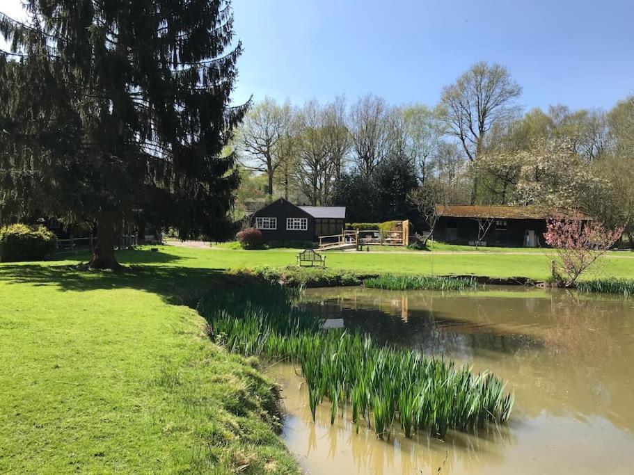 Halfmoon Lodge @ Knights Hole Wheelchair Access Cranbrook Exteriér fotografie